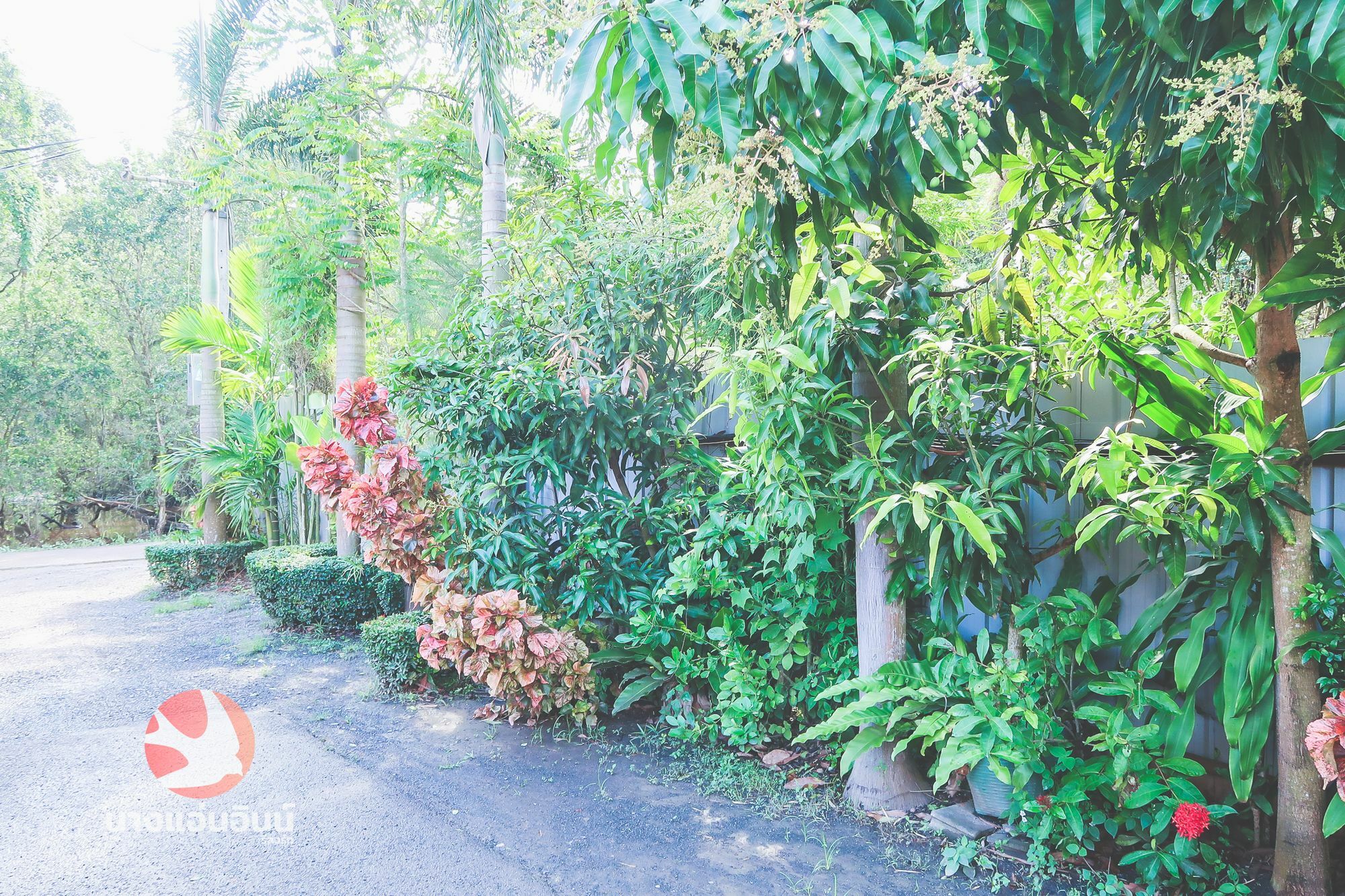 Nang-An Inn Resort Surat Thani Exterior photo